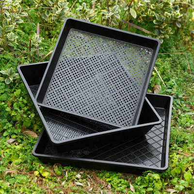 Grownup Large Number of Plastic Thickened Sprouts of Sprout Nursery Pan Shoots of Sprout Vegetable tray Multi-meat Seedling Box Planting Basin of Basin Nursery
