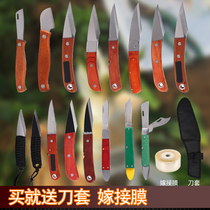 Japanese steel grafting knife tool fruit tree rough tree picking knife fruit tree grafting special knife Super grafting artifact
