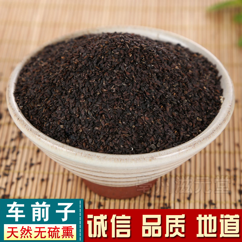 Quality Plantain Seed of the Plantain Seed 500 gr