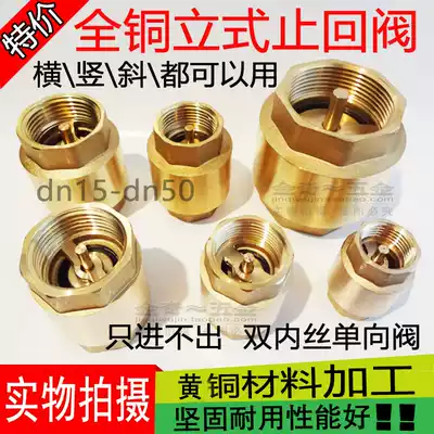 Vertical check valve all copper check valve new spring threaded water pipe double inner wire 4 points 6 points 1520