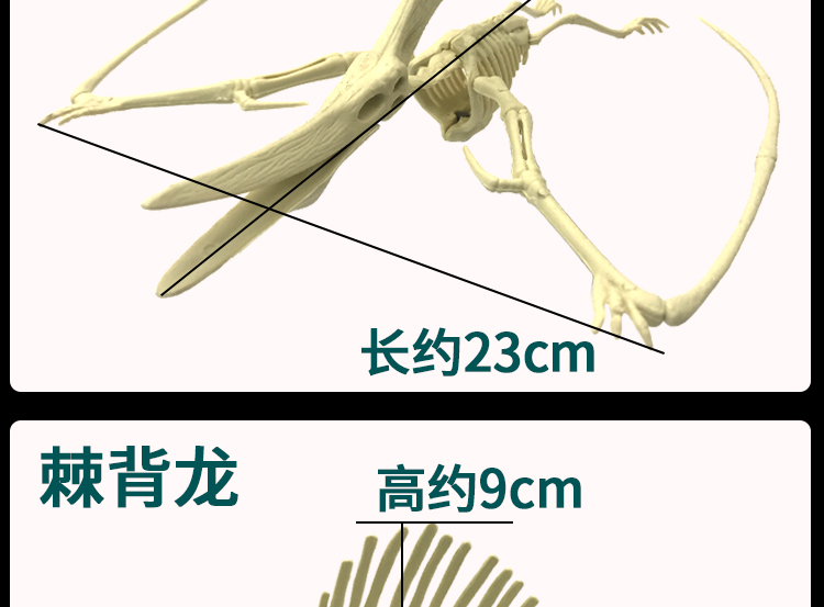 Khủng long hóa thạch đồ chơi khai quật handmade diy sản xuất mô hình sáng tạo khai thác mỏ skeleton lắp ráp món quà đồ chơi