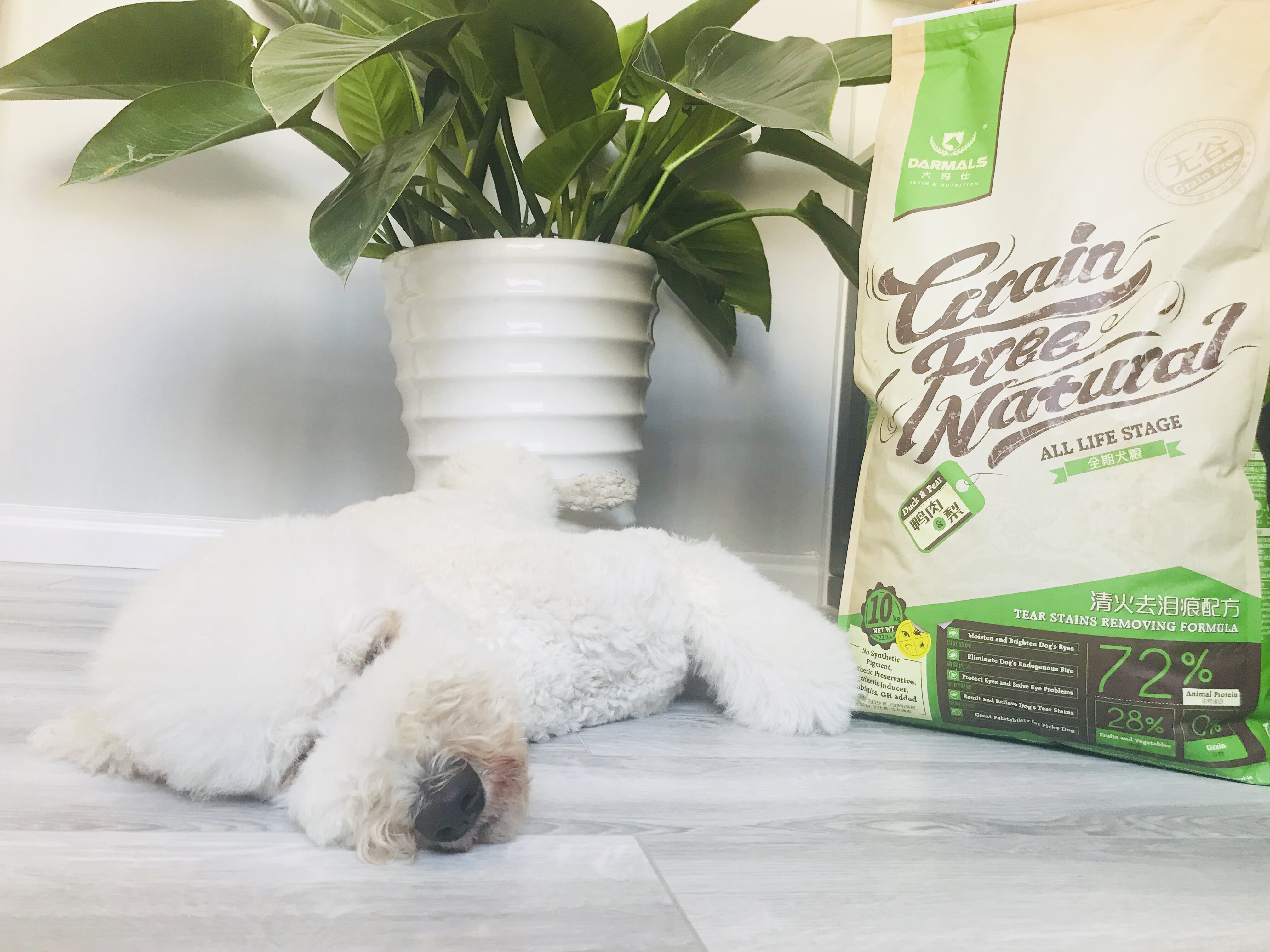 Six with dog food, cat food, a variety of flavors to choose from