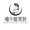 喵小姐驾到