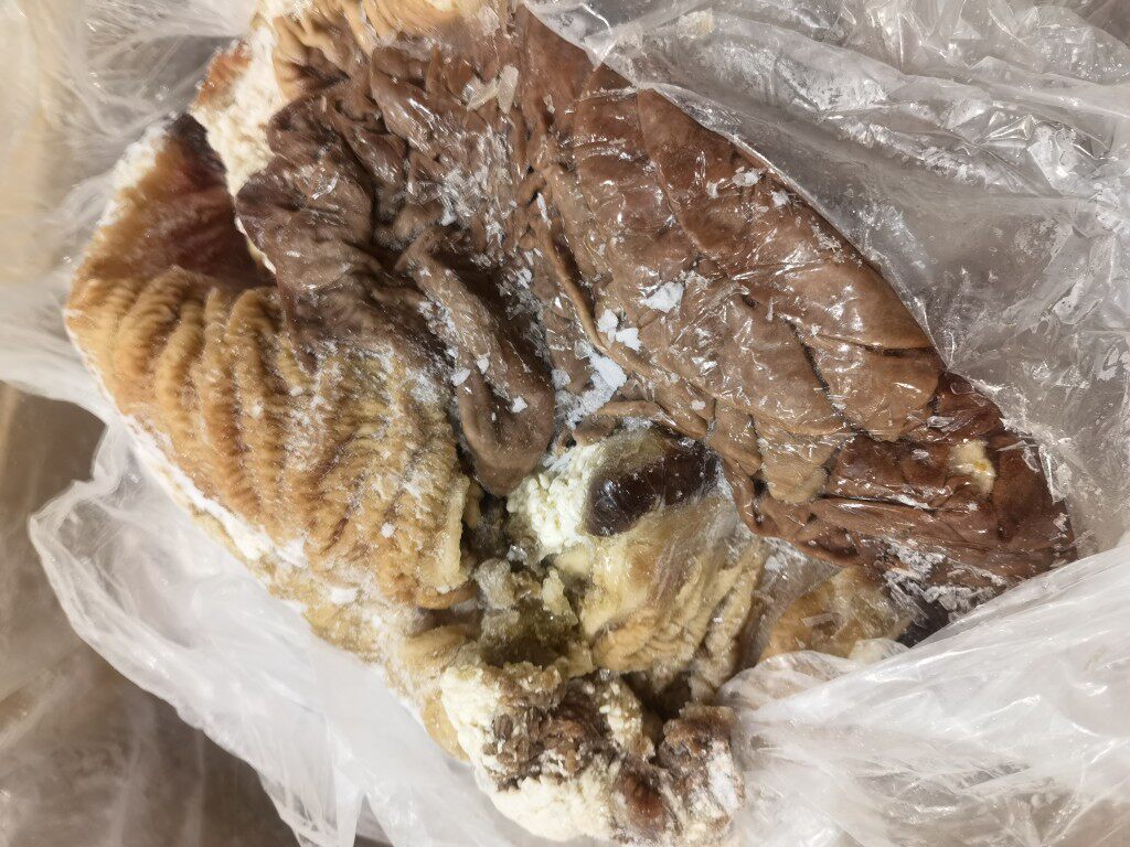 Bull Loose Belt with bowel head clean less ice water cooked in high fresh and beautiful loose with 10 catties 