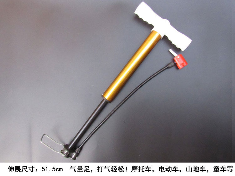 Pompe à vélo - Ref 2390794 Image 13