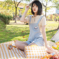 Picnic mats in the field moisture-proof mat outdoor leisure picnic spring outing picnic supplies waterproof mat beach picnic cloth