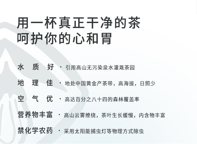 江西老字号 林恩 春蕾 高山云雾茶 200g/罐 图6
