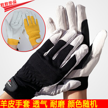 Welding gloves Welder short leather gloves Wear-resistant lambskin gloves Fireproof and heat-insulating Labor gloves buckle driver gloves