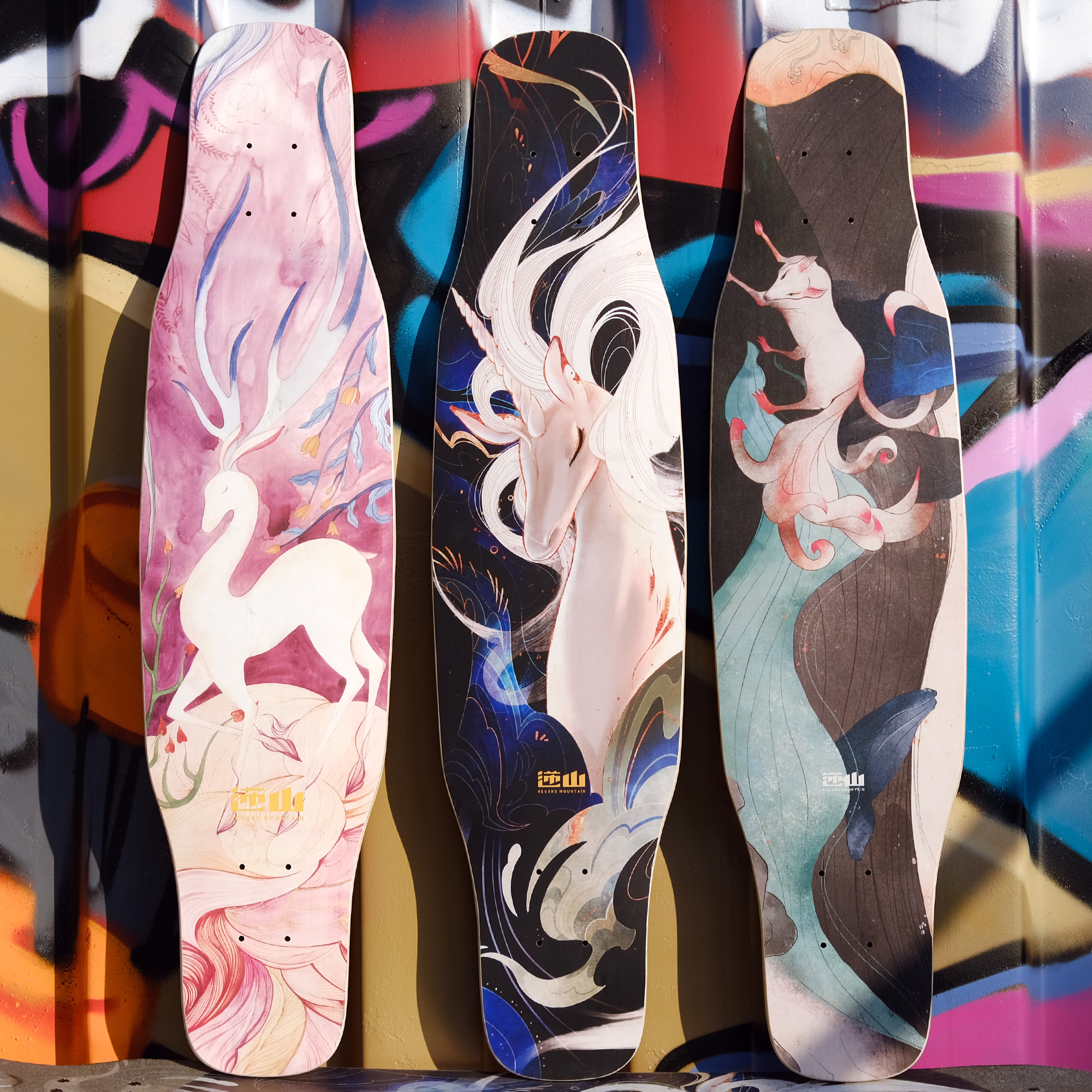 Reverse Hill Professional Children's Skateboard Longboard Double Warp Brush Street Substitute Adult Flat Flower All-Around Girls Dance Board DC Reverse Mountain