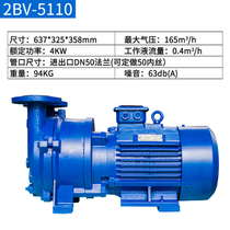 Manufacturer Direct sales 2BV series Water ring vacuum pump Industrial high vacuum water circulation vacuum pump compressor