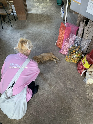 Lonslan 2023SS Новый котенок распущенные короткие -большие чашки футболка