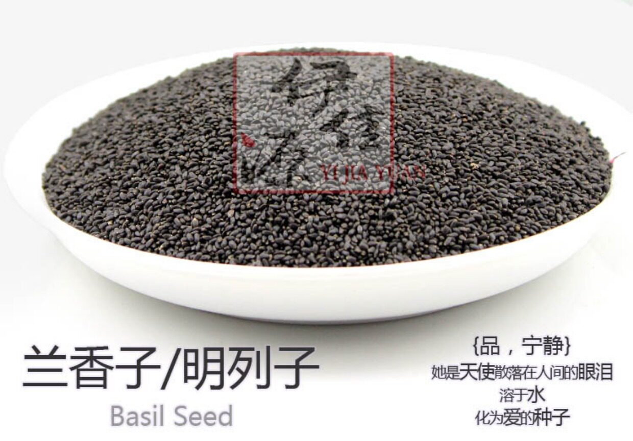 明列子的功效与作用,桑葚的效与作用,鱼腥草的效与作用(第17页)_大山谷图库