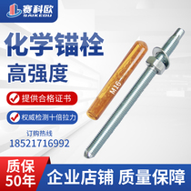 304 stainless steel of chemical anchor bolt chemical expansion screws M8 M10 M12 M14 M16 M20 M24
