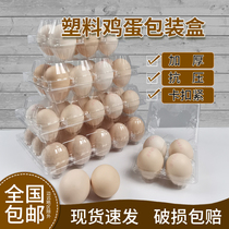 Manufacturer direct sale disposable egg toplastic thickened large number of egg pallets Egg Eggs packaging box