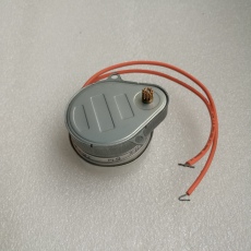 Synchronous motor original 6W