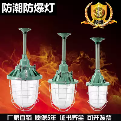 Explosion-proof lights National standard bcd flameproof moisture-proof lampshade LED workshop plant gas station warehouse factory lighting lamps and lanterns