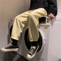 Lamp suede core casual pants male winter new gush thickened Korean version Trend casual 100 lap loose bunches pants