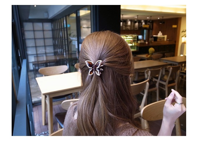 Accessoire cheveux en plexiglas - Ref 1207400 Image 47