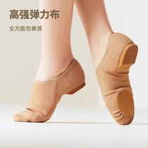 Dance shoes stretch cloth womens soft-soled shoes with laces and special shoes for teachers adult jazz practice ballet shoes cheerleading shoes