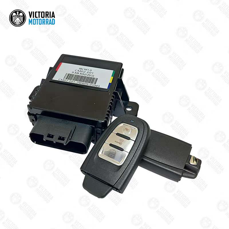 Longjia Victoria Scooter Lj150T-2G/3G/5 Central Locking Remote Control Key