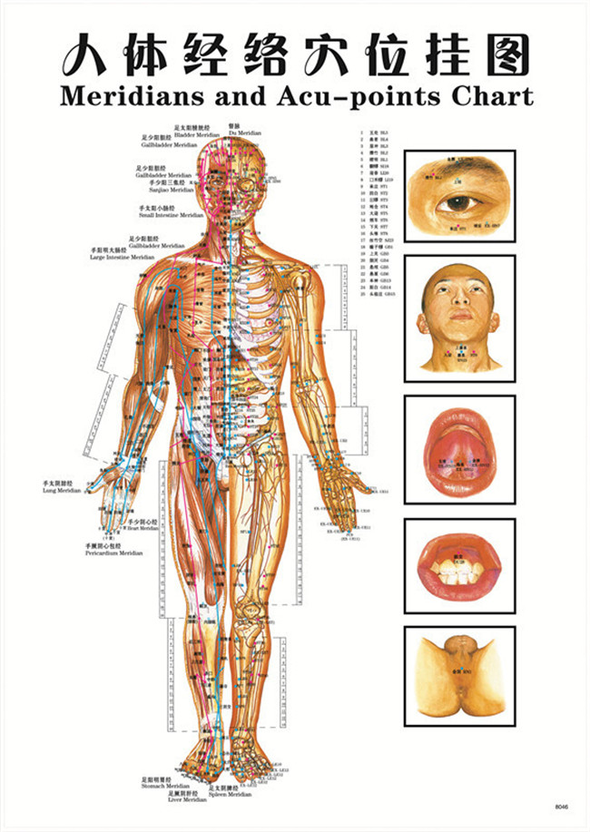 Chinese Medicine Meridians Chart