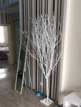 Natural camphor tree wishing tree dry branches white branches white trunks wedding activities props