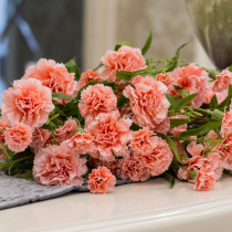 Simulation flower Carnation fake flower arrangement plastic flower decoration flower living room silk flower decoration fabric flower single branch