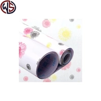 Персидская хризантема