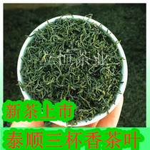 2021 new tea Wenzhou Taishun three cups fragrant tea Mingqian tea morning tea fried green tea Alpine Cloud Tea 250g