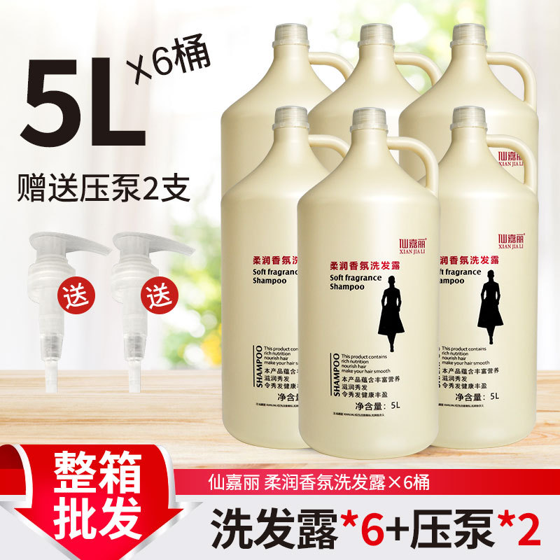 High-End Hair Salon Shampoo in Large Containers, Professional Salon Use, Whole Box of 6 Large Bottles of Shampoo, Family Pack Wholesale