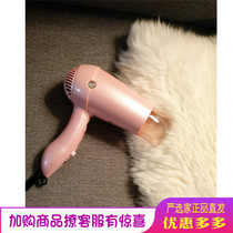 Carefully selected home appliances Hair dryer Household negative ions Small power dorm Portable Silent unisex foldable