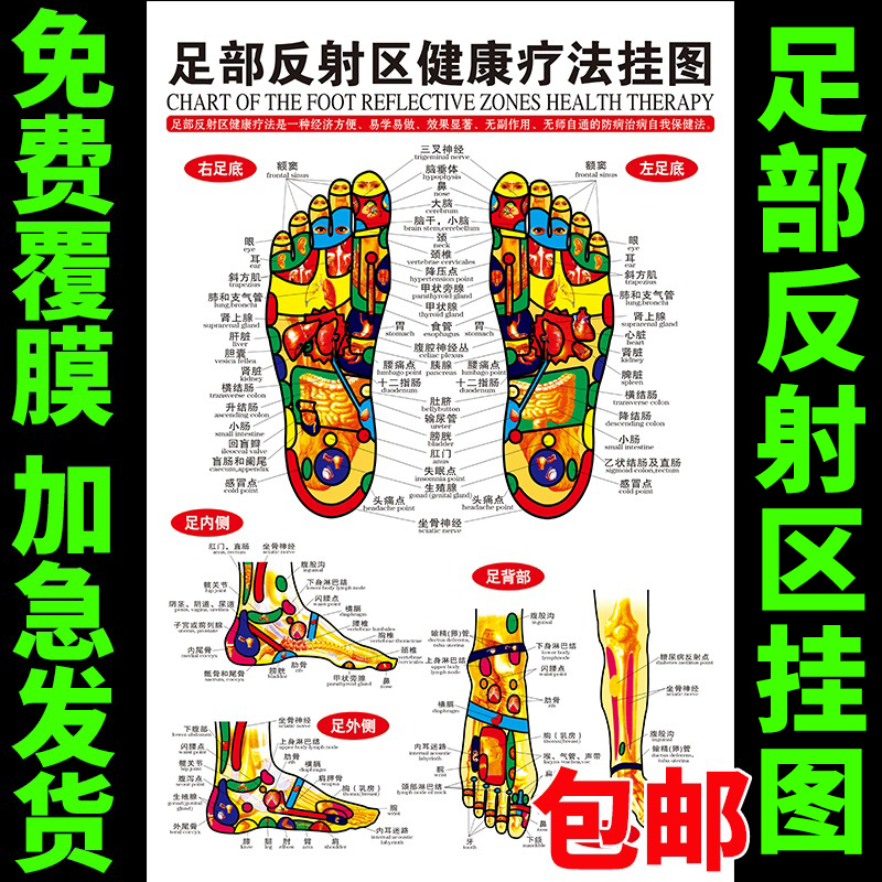 Foot Meridians Chart