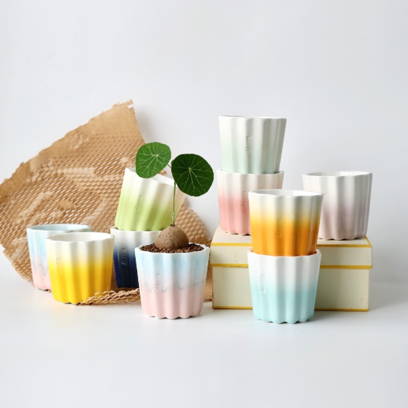 Kerry Gradient Cinnamoroll Flower Pot Jingdezhen Ceramic Phalaenopsis Butterfly Orchid Green Plant Simple Style Sf Express Kerry Gradient Cinnamoroll Flower Pot Jingdezhen Ceramic Phalaenopsis Butterfly Orchid Green Plant Simple Style Sf Express