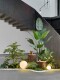Large-Scale Simulated Green Plants, Landscaping Plants, Indoor Decoration, High-End Light Luxury Office Window Display, Fake Trees under Stairs