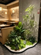 Artificial Green Plant Landscaping for Indoor Entrance Corner, Fake Plant Floor-Standing Decoration, Scene Arrangement, and Aesthetic Display