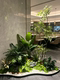 Artificial Green Plant Landscaping for Indoor Entrance Corner, Fake Plant Floor-Standing Decoration, Scene Arrangement, and Aesthetic Display