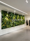 Simulated Green Plant Walls, Green Plant Background Walls, Shopping Mall Decorations, Simulated Green Plant Wall Arrangements, High-End Landscape Landscaping