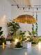 Camping-Style Large Artificial Green Plant Landscaping Combination, Outdoor Trendy Artificial Plants, Indoor Landscape Decoration