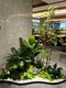 Artificial Green Plant Landscaping for Indoor Entrance Corner, Fake Plant Floor-Standing Decoration, Scene Arrangement, and Aesthetic Display