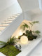 Artificial Green Plants and Trees for Indoor Decoration, Giant Floor-Standing Ornaments for Entryways and Staircases, Decorative Landscaping and Visual Displays