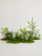 Simulated Green Plants for Landscaping, High-End Light Luxury Micro-Landscape, Indoor Courtyard, Bionic Fake Plants, Floor-Standing Ornaments, Decoration and Arrangement