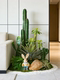 Guling Yisheng Indoor Artificial Cactus Landscaping Large Creative Plant Combination for Mall and Hotel Cactus Decoration