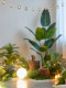 Camping-Style Large Artificial Green Plant Landscaping Combination, Outdoor Trendy Artificial Plants, Indoor Landscape Decoration