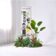 Simulated Plant Landscaping for Restaurants, Popular Photo Spots, Camping-Style Interior Decoration, Tropical High-End Bionic Green Plants