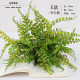 Simulated plants, high simulation feel ferns, tropical maidenhair fern artificial plants, fake plants, simulated green plants
