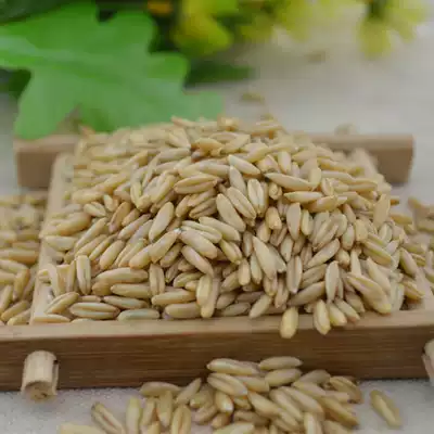 New high quality oat rice oat kernels 500g appetizer wide intestines cooking porridge good grain