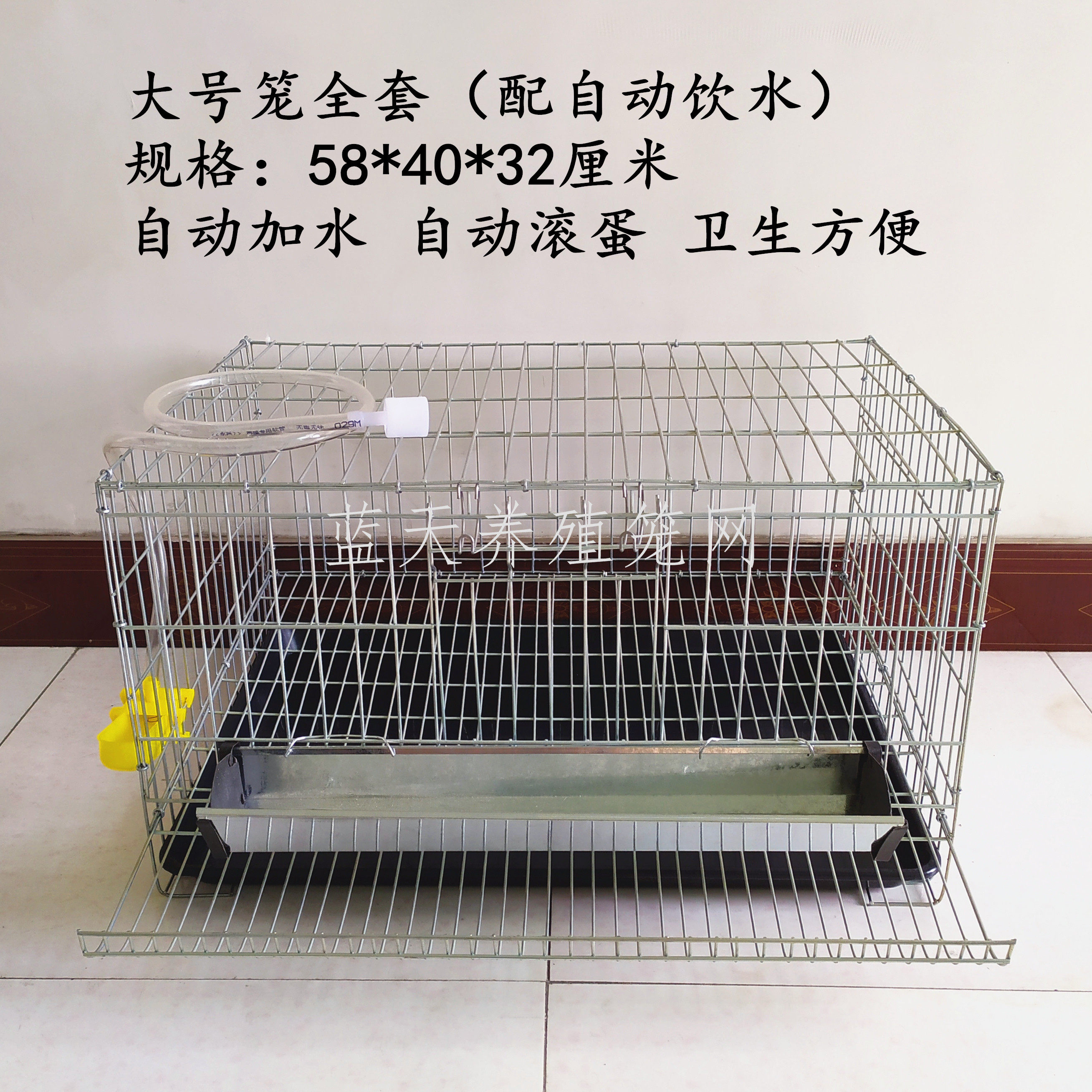 Household quail cage large bold double cage position breeding eggs Quail cage breeding cage automatic rolling eggs easy to pick up