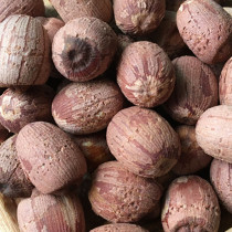 New fresh lotus seeds self-produced dry goods 500g small grains with heart red skin lotus seeds 500g