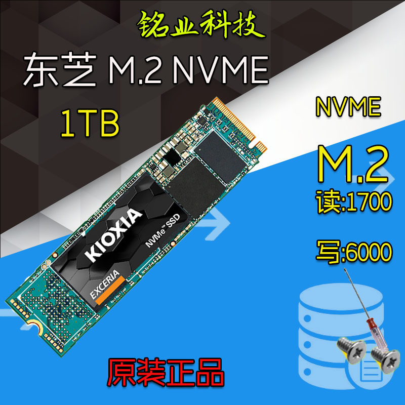 Kioxia RC10 500G 1TB M 2 NVME SSD Pcie XG7