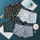 Đồ lót nam Antarctic nam boxer cotton kích thước lớn thanh niên Hàn Quốc gợi cảm thoáng khí bốn góc đầu thủy triều